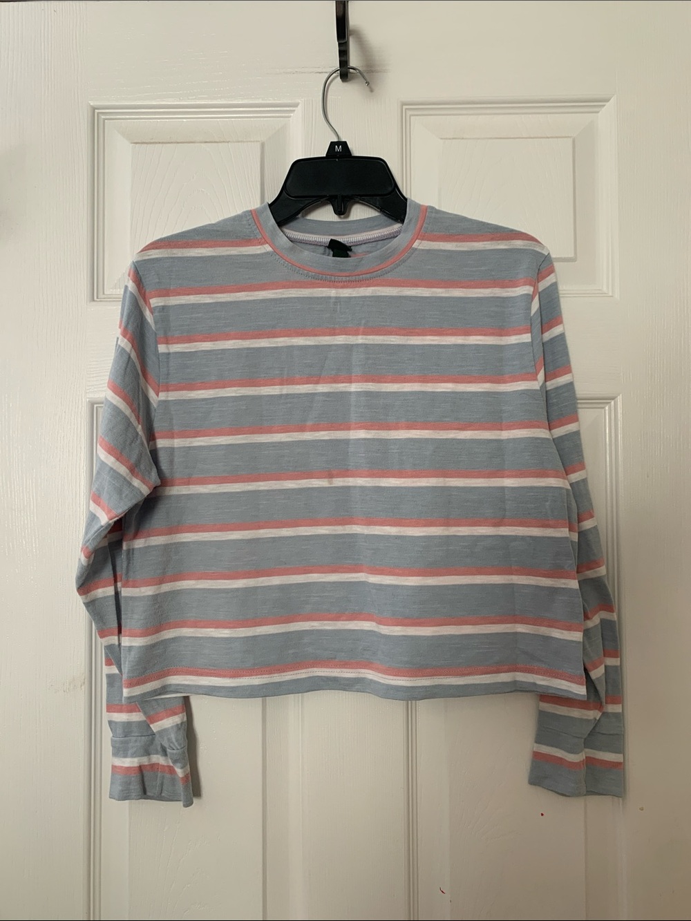 wild fable Blue and Pink Striped Long Sleeve Tee